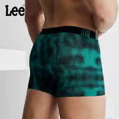 Lee 1
