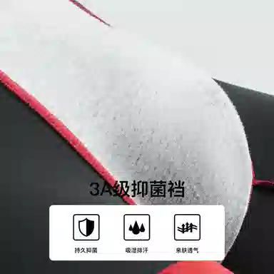 Lee 3
