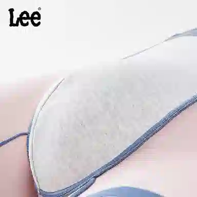 Lee 4