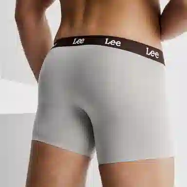 Lee 1
