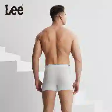 Lee 4.0 5