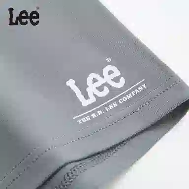 Lee 4