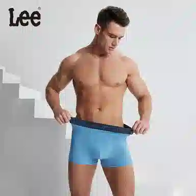 Lee 5