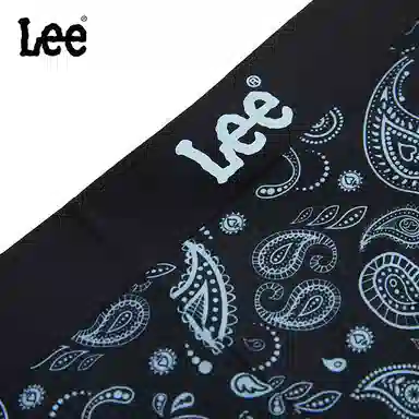 Lee 1