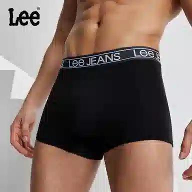 Lee 3