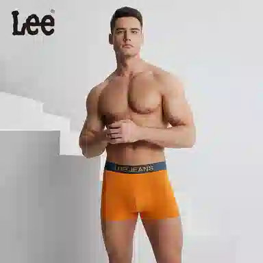 Lee 5