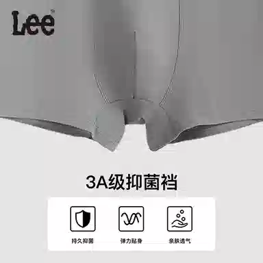 Lee 3