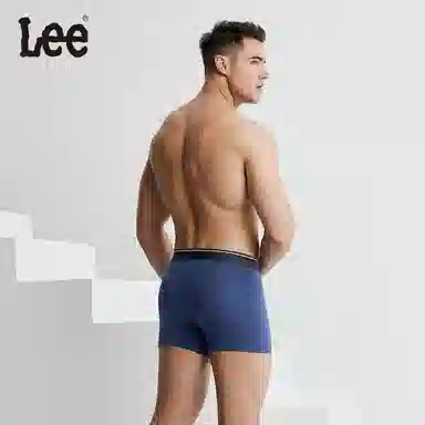 Lee 4.0 5