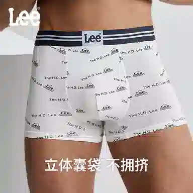 Lee 5