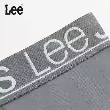 Lee 4