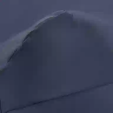 Lee 4