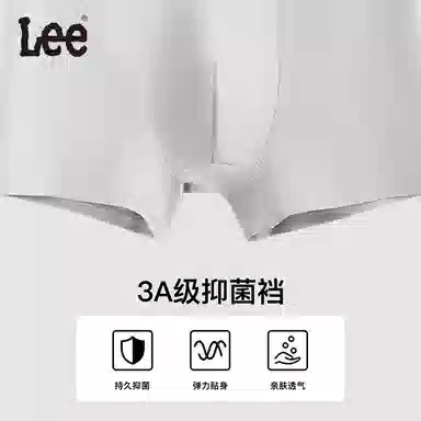 Lee 3
