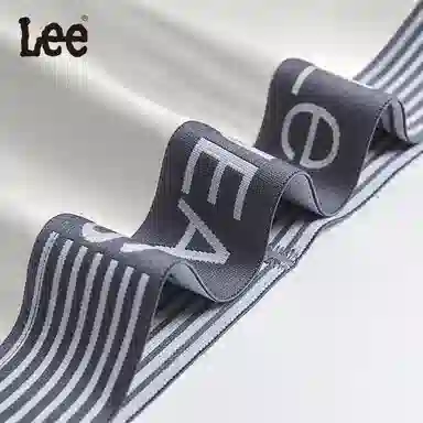 Lee 5
