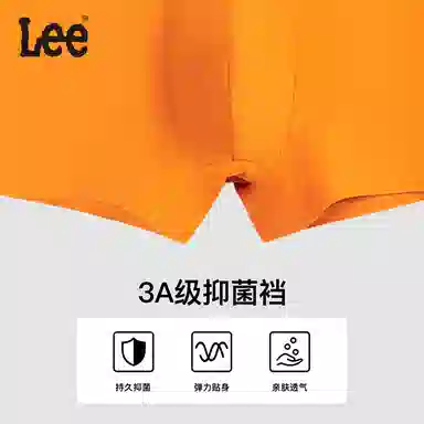 Lee 3