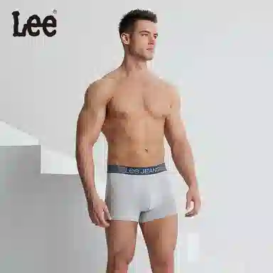 Lee 5