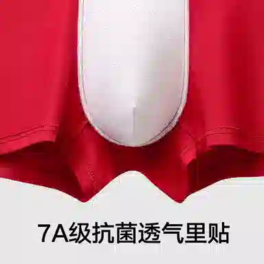 Lee 5