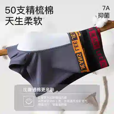 Lee 3.0 10A 5