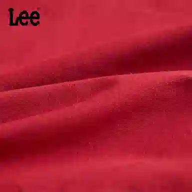 Lee 3.0