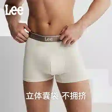 Lee 4.0 5