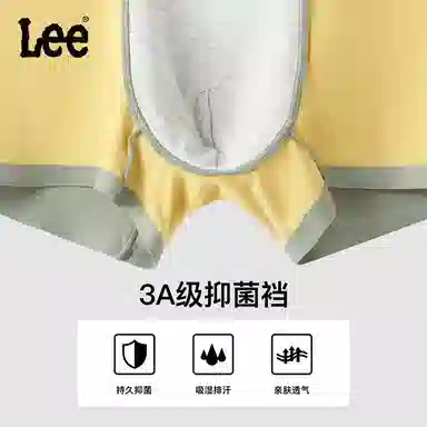 Lee 3