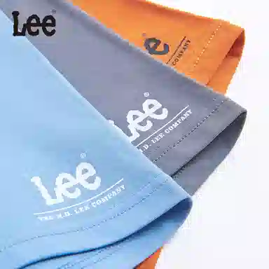 Lee 4