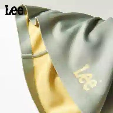 Lee 3