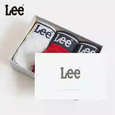 Lee 4.0 5