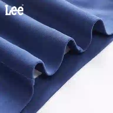 Lee 4