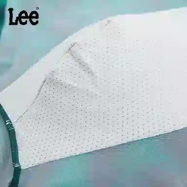 Lee 1