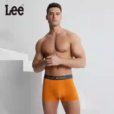 Lee 5