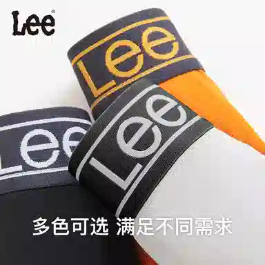 Lee 3