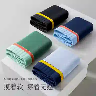 Lee 5