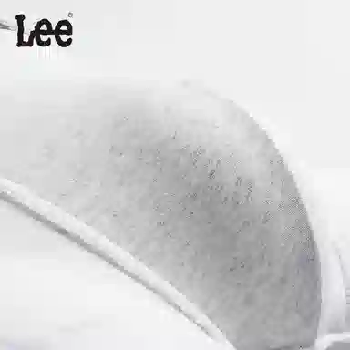 Lee 1