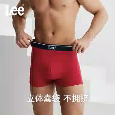 Lee 4.0 5