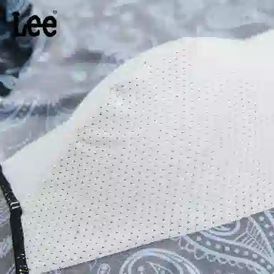 Lee 1