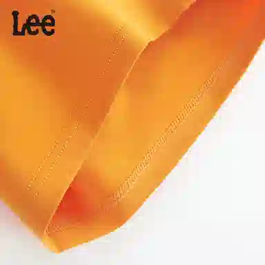 Lee 4