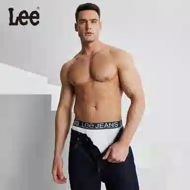 Lee 3