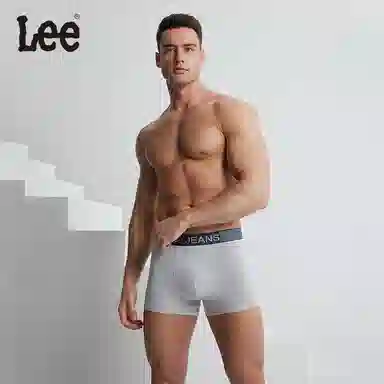 Lee 5