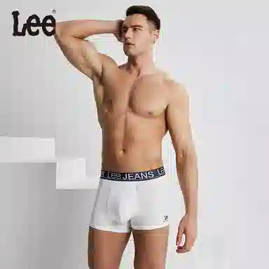 Lee 5.0 4
