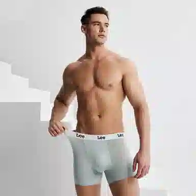 Lee 1