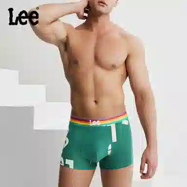 Lee logo 1