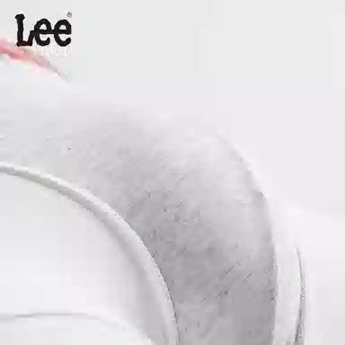 Lee 4