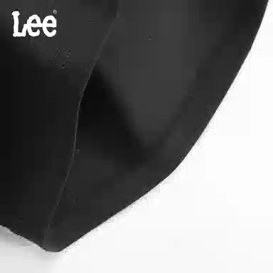 Lee 5