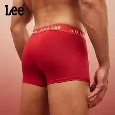 Lee 3