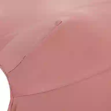 Lee 5