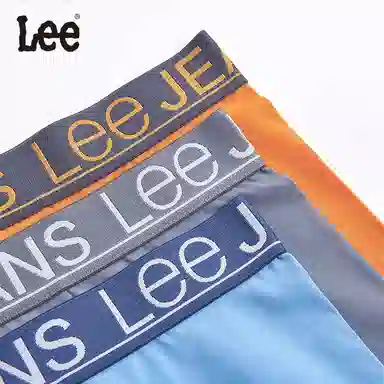 Lee 4