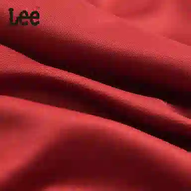 Lee 3