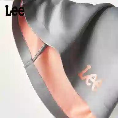 Lee 4