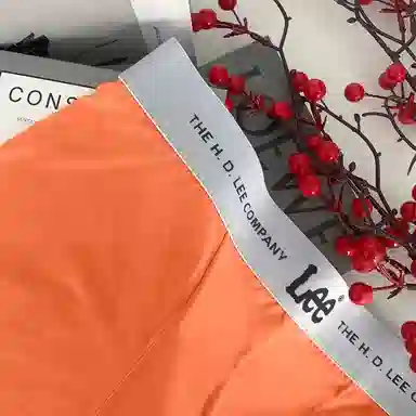 Lee 3