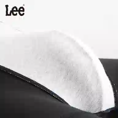 Lee 5